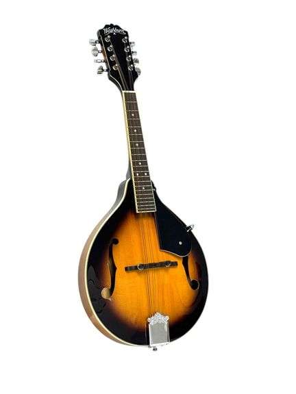 Washburn Mandolin Model MIK - Like New!