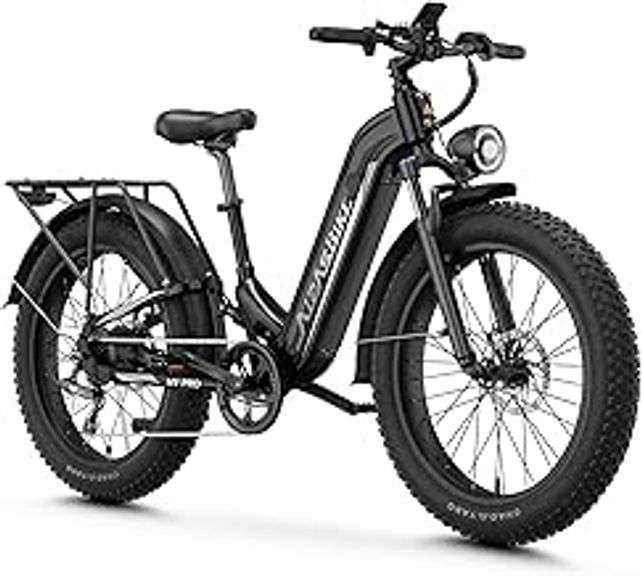 ELECTRIC BIKES / VEHICLES