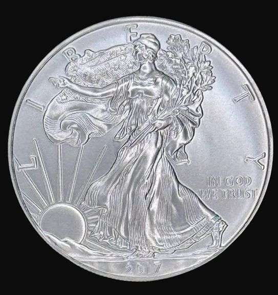 2017 One Dollar Silver Eagle Coin