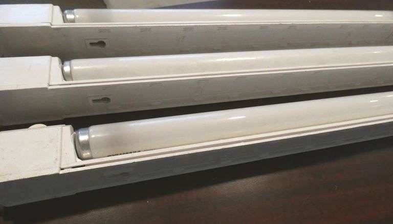 Three  24" Tube Lamps