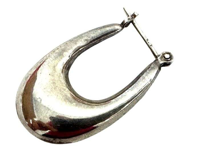 Modern Styled Sterling Silver Earrings