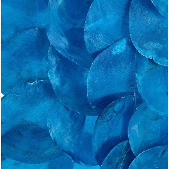 Blue Placuna Wind Chime on Driftwood, New