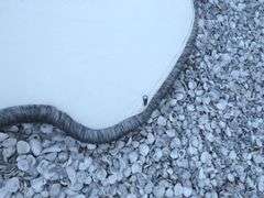 Super Soft Grey Plush Pet Bed @2.5ft x 3ft