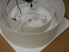 20" Diameter Light Fixture