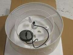 20" Diameter Light Fixture