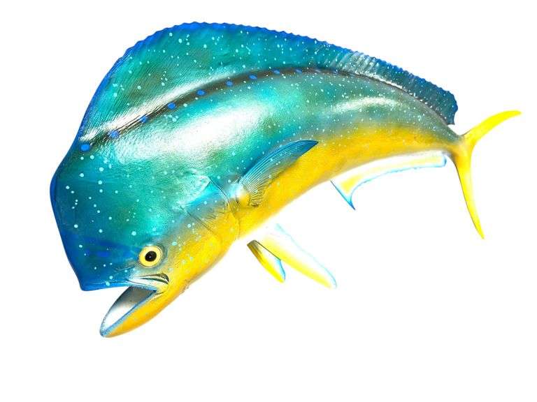 Large 42" Long Blue Dolphin Fish Wall Sculpture