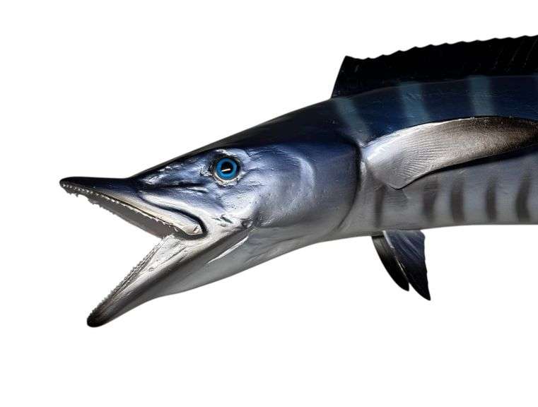 Wahoo Fiberglass Taxidermy