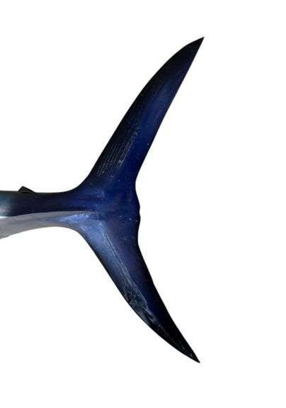 Wahoo Fiberglass Taxidermy
