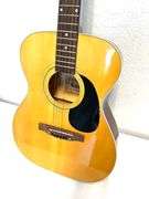Legacy Brand H150 Acoustic Guitar with Case