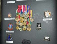U.S. Army Badge and Ribbon Assortment