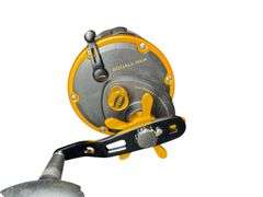Penn SQL50LW Squall Conventional Reel