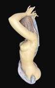 Lladro Venus Statue