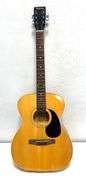 Legacy Brand H150 Acoustic Guitar with Case