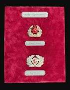 Soviet Badge, Patch, and Belt Buckle Assortment