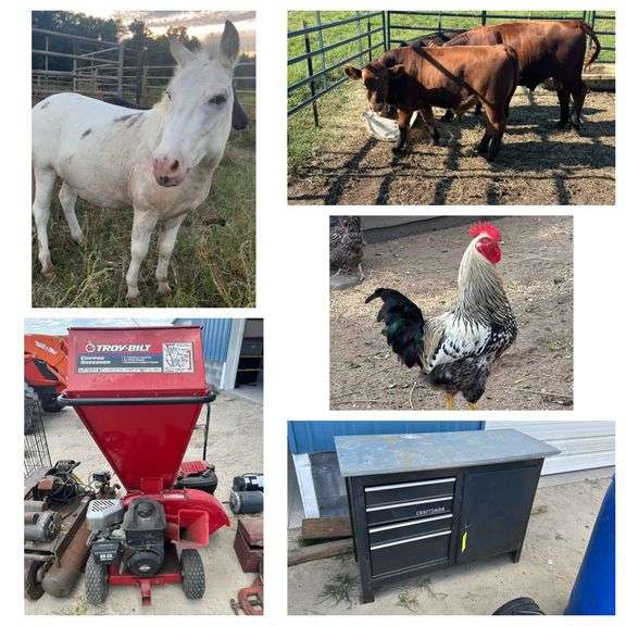 DON’T MISS OUR BIG LABOR DAY AUCTION - MONDAY SEP 1ST, 2025 