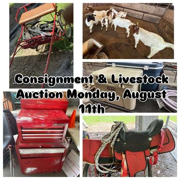  Consignment & Livestock Auction Monday, August 11th, 2025