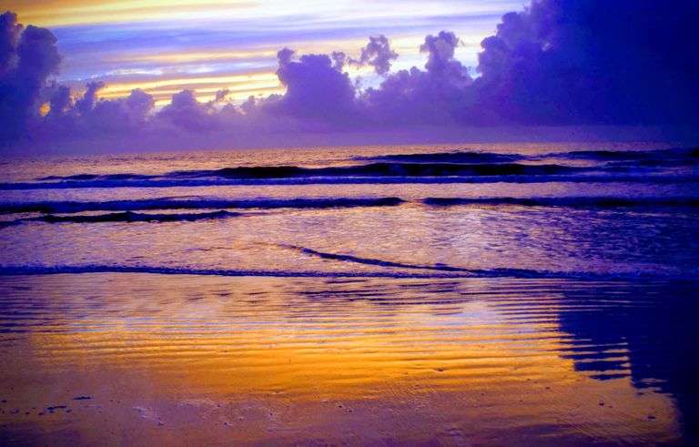 Elvis, Hendrix,Springsteen & Ozzy