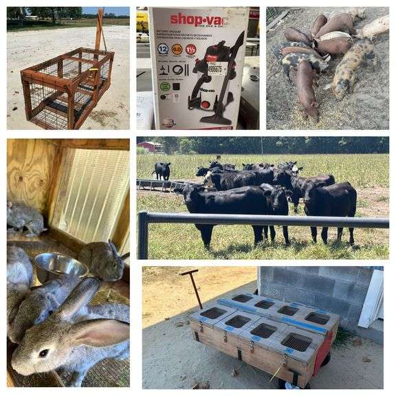 Consignment, Small Animals & Livestock Auction Monday, Sep 8th, 2025. 