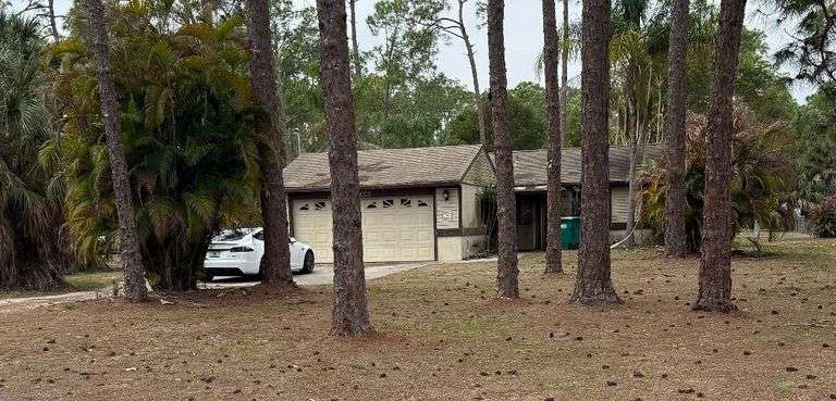 House in Naples at Auction