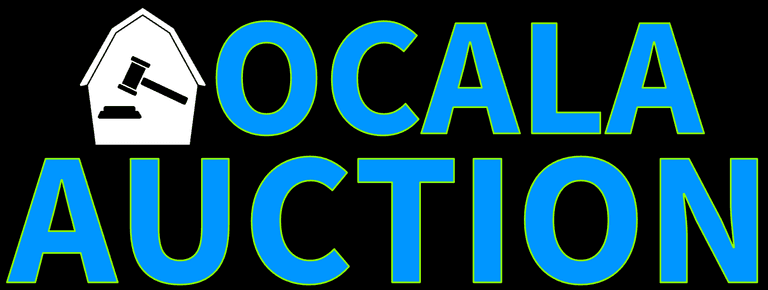 Friday Night Auction